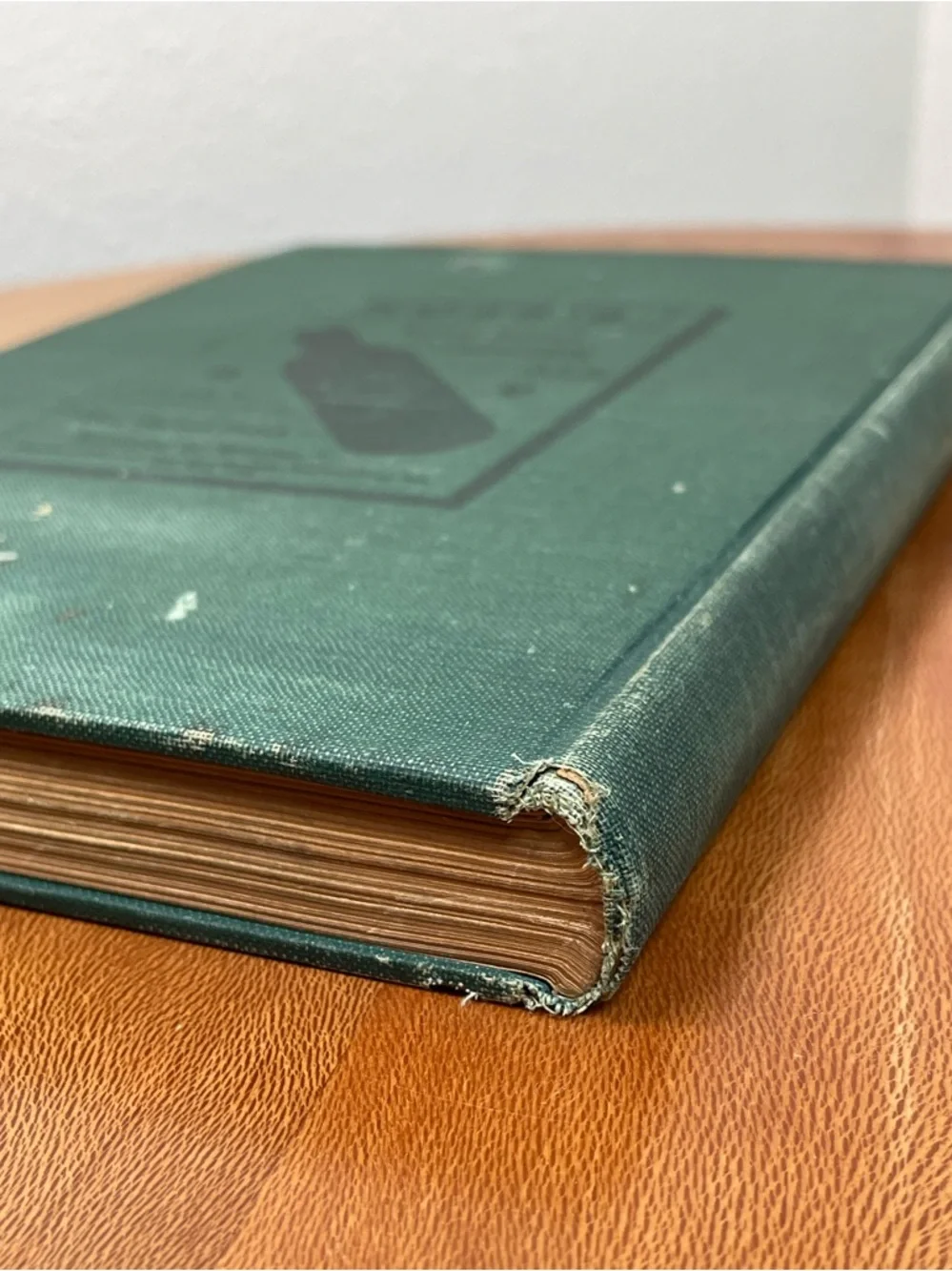 The New Lucile Cook Book 1906 Green Antique Acker Merrall Condit Co.
